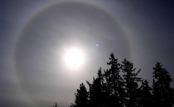 ¿Por qué ocurre un halo solar?