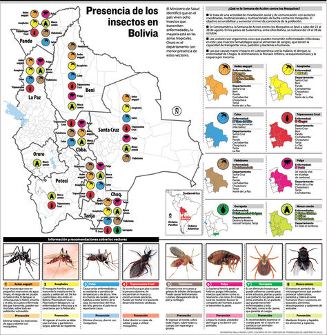 Presencia de los insectos en Bolivia. Infografía: La Razón 