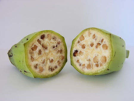 Inside A Wild Type Banana