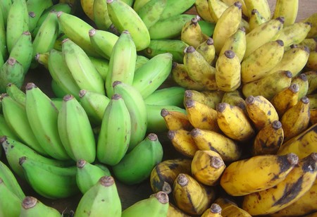Green Yellow Bananas Dsc07775