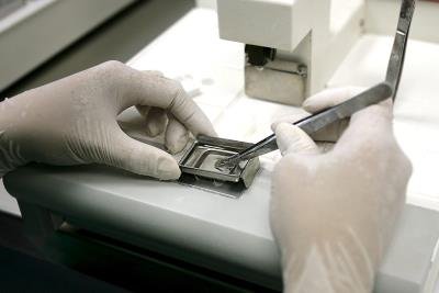 <p>Imagen de archivo de una técnica trabajando con muestras biológicas. EFE/Cristóbal García.</p>