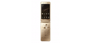 sm-w2017-official-gold-6