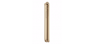 sm-w2017-official-gold-4