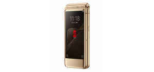 sm-w2017-official-gold-2