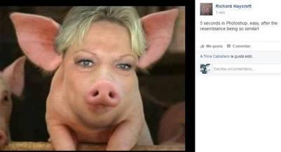 Los usuarios de Facebook convirtieron la cara de Pamela Ramsey en la de un cerdo./ Facebook