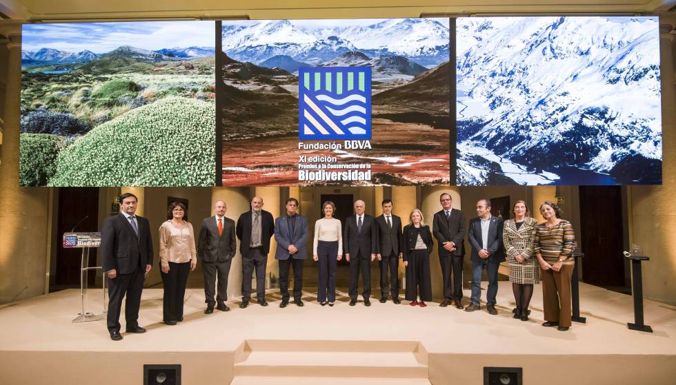 Los galardonados y los jurados durante la ceremonia de entrega de los XI Premios a la Conservación de la Biodiversidad de la Fundación BBVA, que ha estado presidida por el presidente de la Fundación BBVA, Francisco González. Los galardonados y los jurados durante la ceremonia de entrega de los XI Premios a la Conservación de la Biodiversidad de la Fundación BBVA, que ha estado presidida por el presidente de la Fundación BBVA, Francisco González.