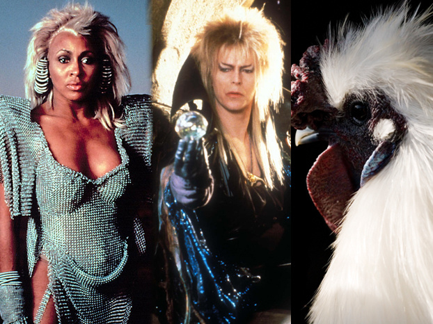 tina turner david bowie y una gallina