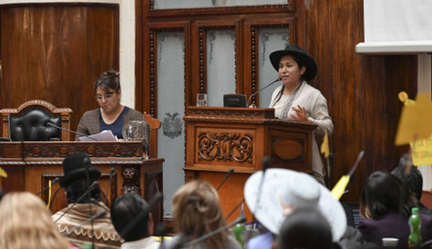La ministra de Comunicación en Bolivia, Marianela Paco en su interpelación. Foto: ABI