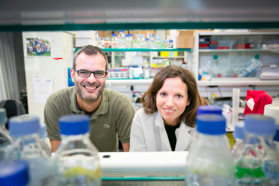 Salvador Aznar y Gloria Pascual, investigadores del IRB de Barcelona