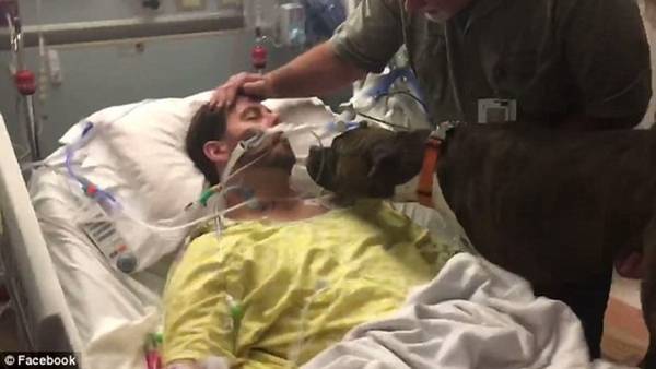 La perra Mollie se despide de su dueño, un californiano de 33 años que sufrió una fulminante hemorragia cerebral.