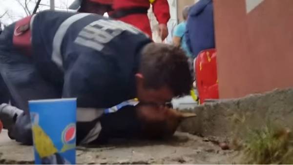Un bombero rumano le hizo respiración boca a boca a un perro y le salvó la vida. Captura de video.