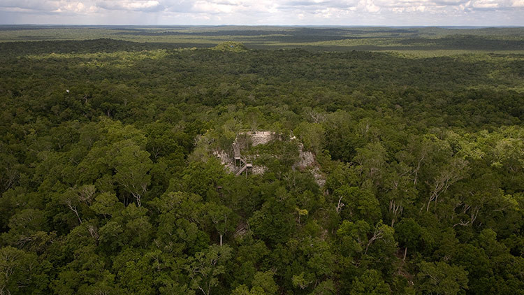 Un templo maya se sitúa en la ciudad de El Mirador, en el corazón de la selva de Petén, Guatemala, 24 de agosto de 2009.