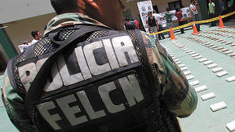 Un agente de la FELCN en un operativo pasado en Santa Cruz. Foto: APG - archivo