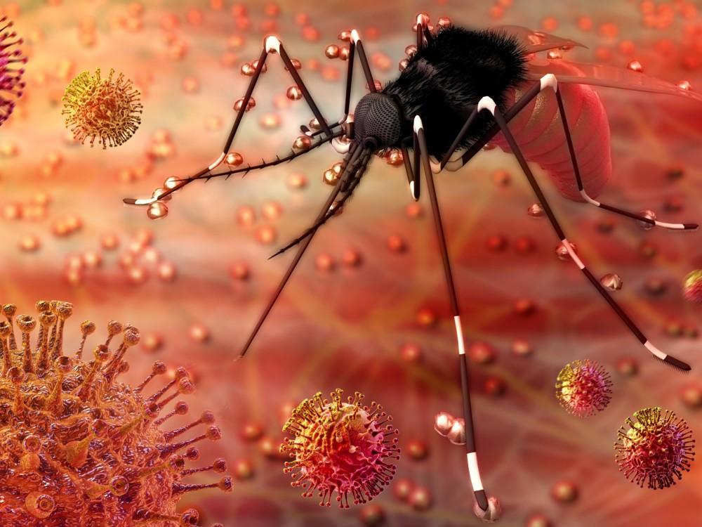 Expansión del virus Zika