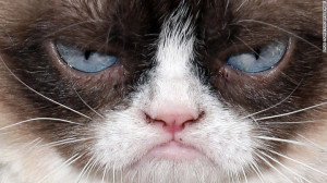 Grumpy Cat, también conocida como Tardar Sauce, es quizás la gata más conocida de internet. Celebridades como Anderson Cooper y Jennifer López se han fotografiado con esta minina. 