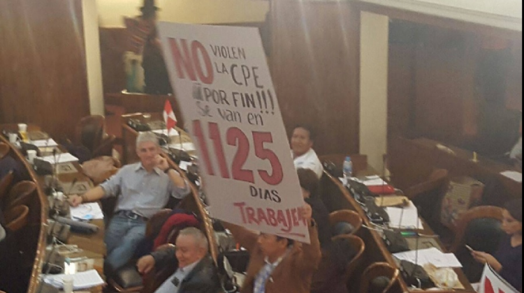 asamblea pelea 
