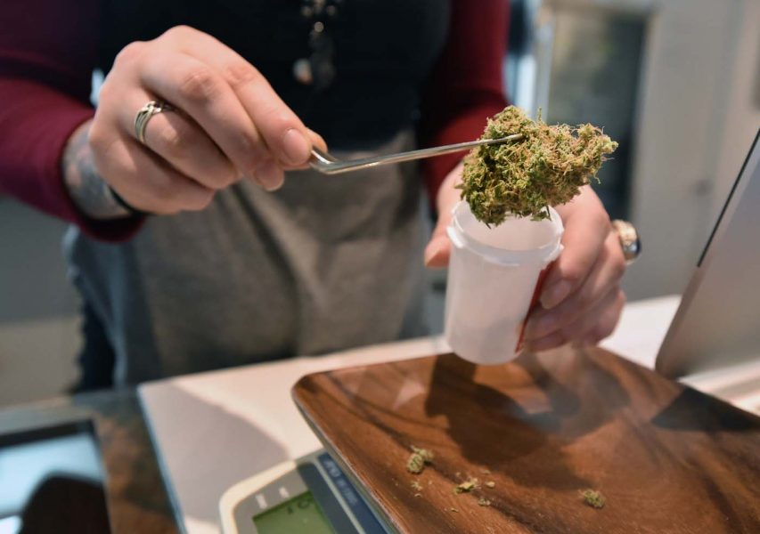 marihuana eeuu elecciones