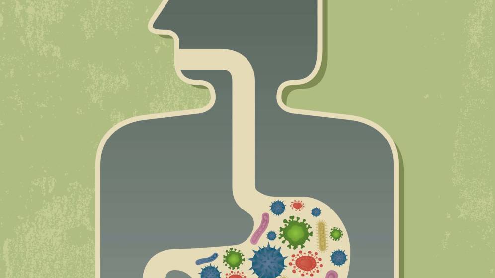 Foto: La alimentación cambia significativamente la microbiota. (iStock)
