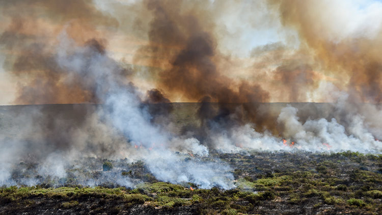 Un enorme incendio arrasa con un millón de hectáreas en Argentina (FOTOS, VIDEO)