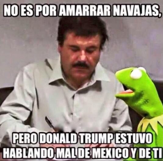 meme-chapo-7