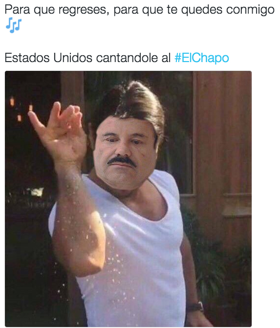 meme-chapo-4