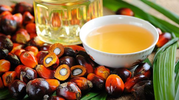 El aceite de palma es el segundo en producción mundial, detrás del aceite de soja. Europa advirtió sobre sus posibles riesgos según el proceso al que es sometido