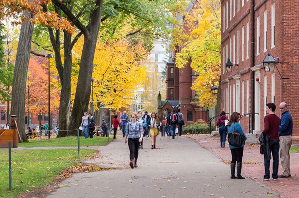 Imagen del campus de Harvard, una de las universidades más reconocidas de Ivy League (iStock)