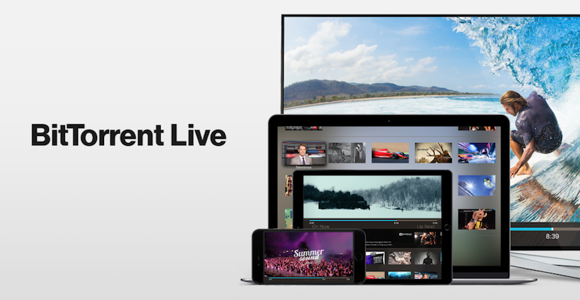 BitTorrent
