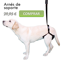 Arnés de soporte para perro con displasia de cadera