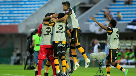 Atigrados celebran en Uruguay