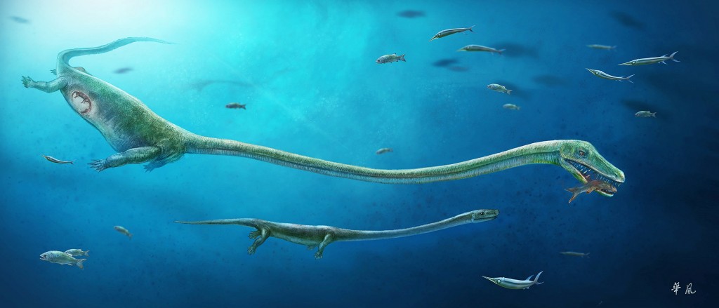 A fish-eating reptile called Dinocephalosaurus, which lived about 245 million years ago during the Triassic Period, is pictured in this artist