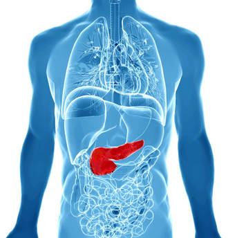 Debido a la profundidad del páncreas, los tumores no se suelen detectar pronto. (iStock)