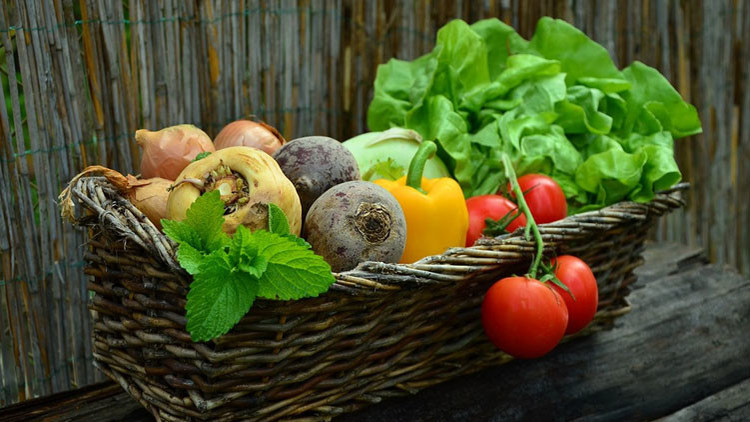 El popular vegetal de América Latina que contiene