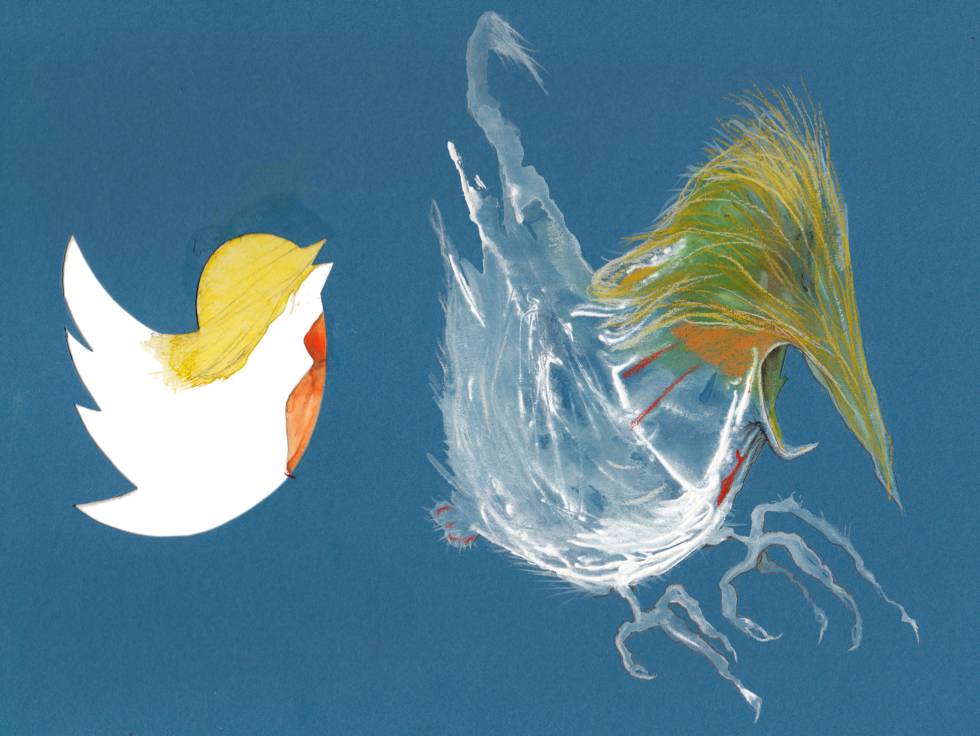 Ilustración de Agustín Sciammarella. Ilustración de Agustín Sciammarella.