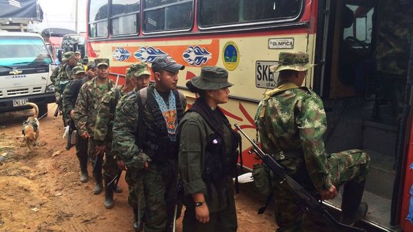 Guerrilleros de las FARC desmovilizados (EFE)
