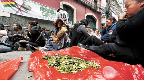 Cocaleros de los Yungas en vigilia en La Paz, antes de que se apruebe la Ley General de la Coca