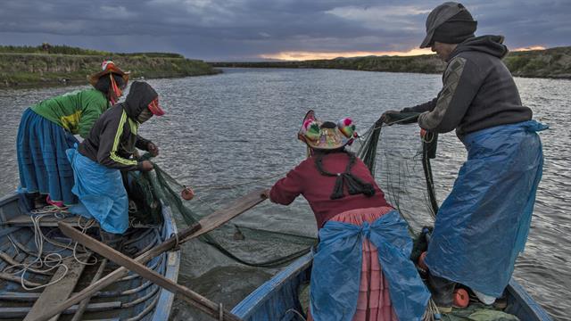 La familia Avila pesca en el río Costa, que desemboca en el Lago Titicaca, en la región de Puno, Perú