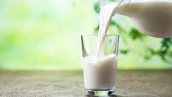 ¿De vaca? ¿O de almendra, de soja, de coco, de arroz? Según los productores de lácteos, sólo la primera puede usar la denominación de leche. La FDA tiene que zanjar la controversia (iStock)