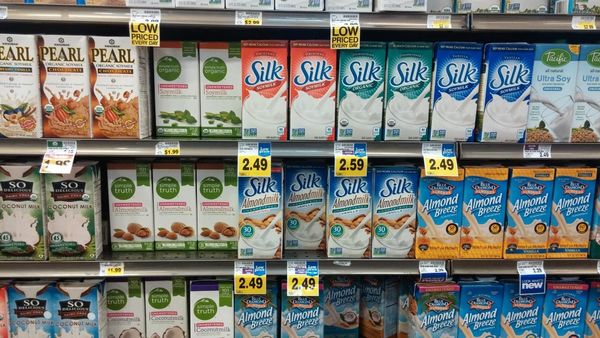 El mercado de los sustitutos vegetales de la leche animal creció un 250% en cinco años en los Estados Unidos.
