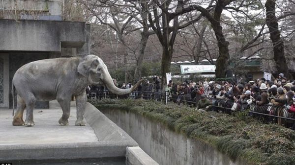 El incidente se produjo antes de que el zoológico abriera sus puertas al público (AP)
