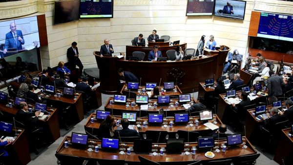 El Senado colombiano aprobó el acuerdo de paz (EFE/archivo)