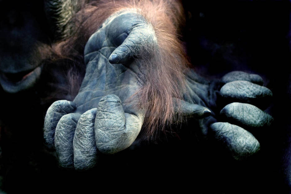 (Foto: iStock)
