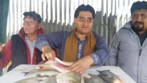 El ministro César Cocarico con pescados que serán puestos a la venta en una feria en La Paz, junto a otras variedades.