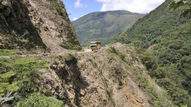 Yungas