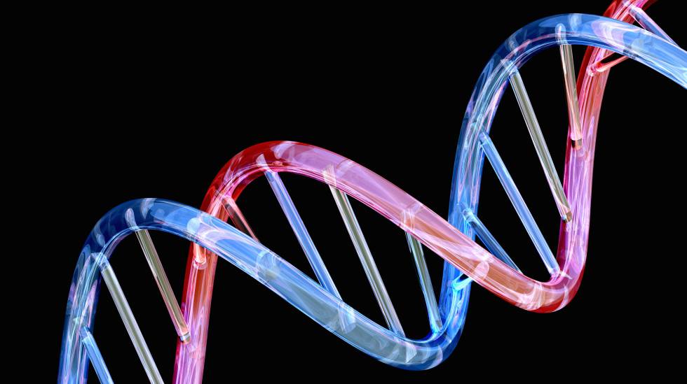 La doble hélice del ADN.