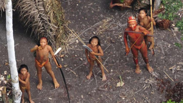 El Gobierno de Brasil abandona a los indígenas aislados a merced de madereros y agroganaderos