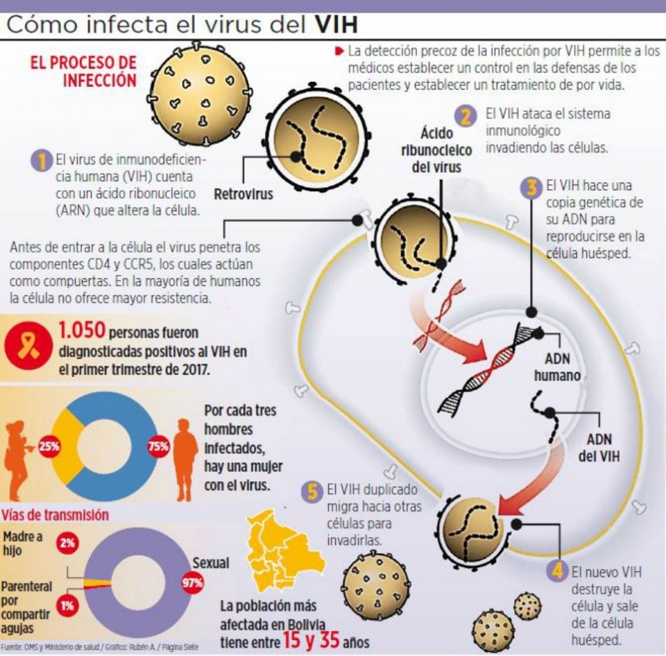 Los Casos De Vih En Bolivia Se Incrementaron En Un Eju Tv