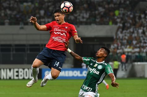 Palmeiras Vs. Wilstermann