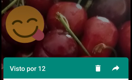 Visto