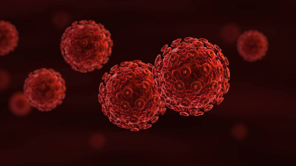Foto: Virus. (iStock)